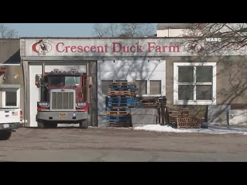 More than 100,000 ducks to be euthanized after Bird Flu strikes Long Island farm