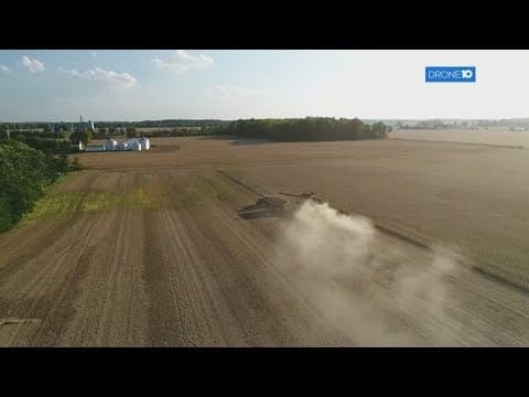 Falling soybean prices, poor weather conditions deliver financial hit to Ohio farmers