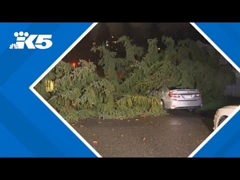 High winds wreaking havoc around western Washington