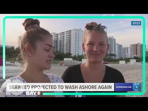 Seaweed blob projected to wash ashore again in Florida