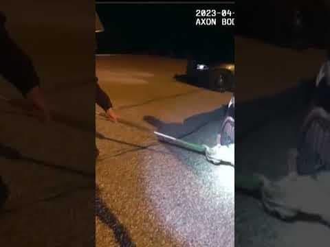 Wisconsin officers rescue a (very jumpy!) bobcat trapped in the grill of a car! #shorts