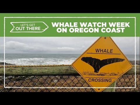Whale Watch Week at Boiler Bay draws crowds to Oregon Coast
