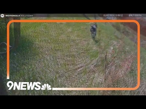 Body Cam: Colorado K9 officer helps find missing 85-year-old woman