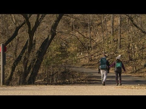 Burn off Thanksgiving dinner on 'Free Park Day'