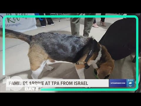 Families share stories after fleeing violence in Israel with help from Tampa nonprofit