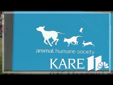 Canine influenza outbreak confirmed in Animal Humane Society shelters