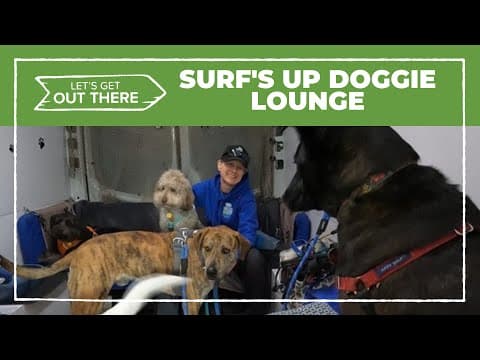 Portland dog business offers more than just dog-walking service