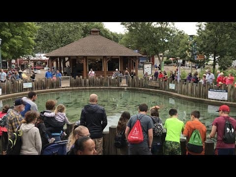 WATCH LIVE: Fish pond stocking