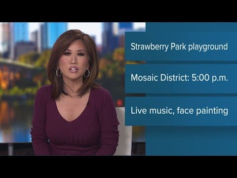 Strawberry Park playground opens in Mosaic District