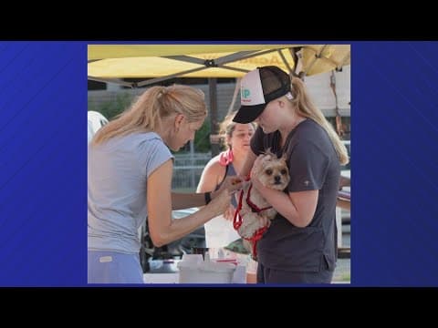 Local organization helps struggling pet owners with food, medication
