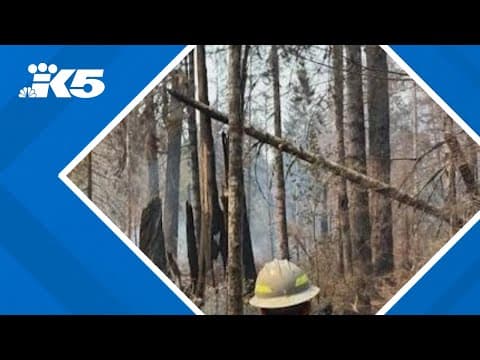 Bear Gulch fire continues to grow despite rain