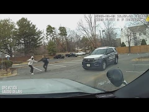 Video: Teen charged with stabbing police officer in Fairfax County