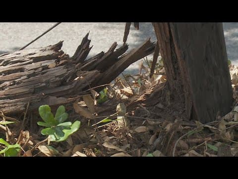 Damaged power pole causes concern among Irish Channel residents, businesses