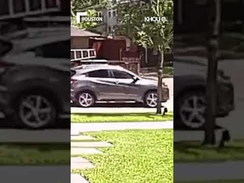 Robbed in broad daylight while doing yard work in Houston #shorts #shortvideo #short