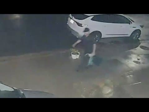 Suspected gas thief caught on camera