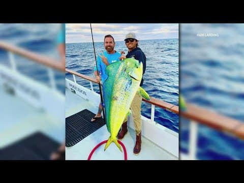 Warm ocean waters attracting unique marine life off San Diego coast