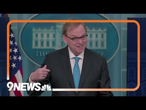 DOGE Dividend Checks Are 'Absolutely Not' Inflationary, Trump's Economist Says