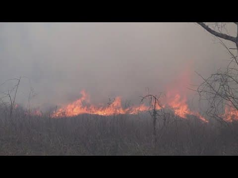 At least 2 wildfires reported in Tellico Plains area