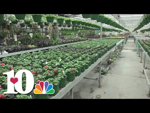 Protecting your plants during the freeze