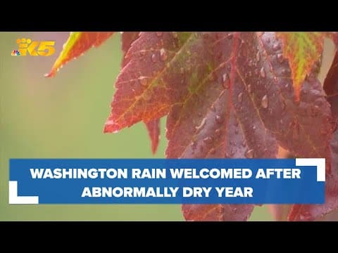 Western Washington rain welcomed after abnormally dry year