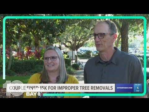 Couple fined $15K for removing oak trees in Pinellas County