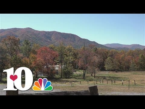 Visitors across the nation come to see fall views in East Tennessee