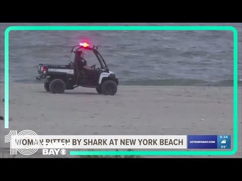 Woman critically injured by rare shark bite off NYC's Rockaway Beach