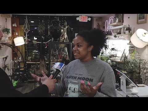 Local business provides unique terrariums