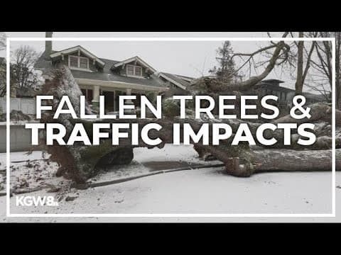 Winds take down trees, cause damage all across the greater Portland area