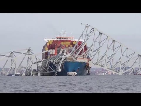 Environmental impact of Baltimore Key Bridge collapse