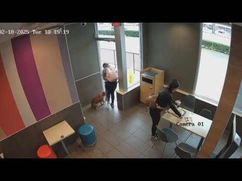 North Texas police find dog stolen by two young girls