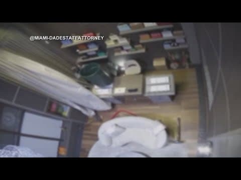 Caught on camera: $2.3 million worth of bags stolen in Miami using trash cans