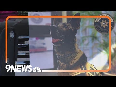 Man sentenced for killing Jefferson County K-9