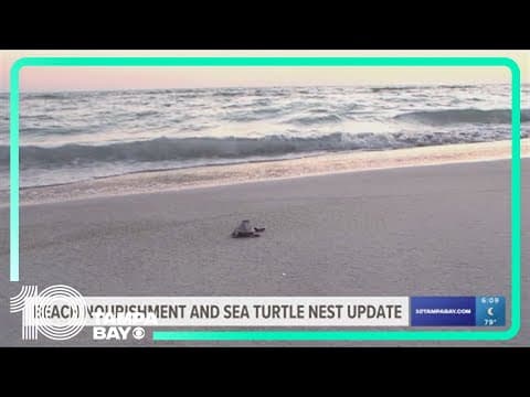 Second phase of beach renourishment starts on Pass-a-Grille beach