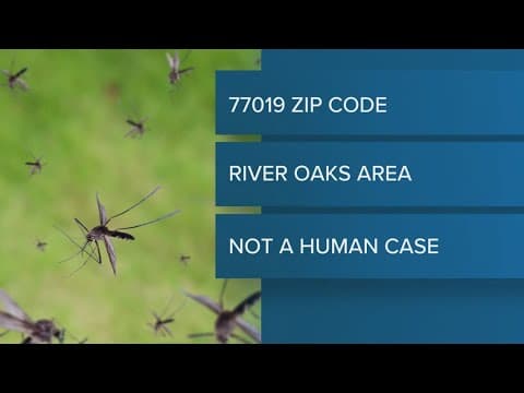 Harris County reports first positive West Nile virus mosquito sample for the year