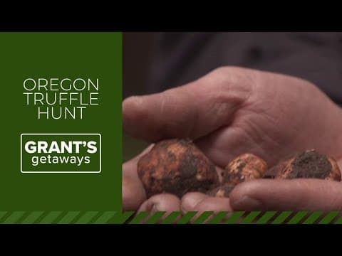 Hunting truffles in Oregon's Douglas fir forests | Grant's Getaways