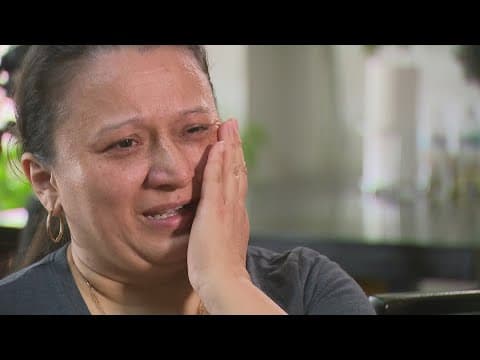 Mother pushing car killed in hit-and-run leaves behind 3 young daughters