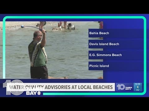 Health advisory issued for Hillsborough County beaches