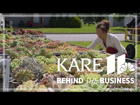 Sauk Centre woman's 'succulent heaven' has family roots