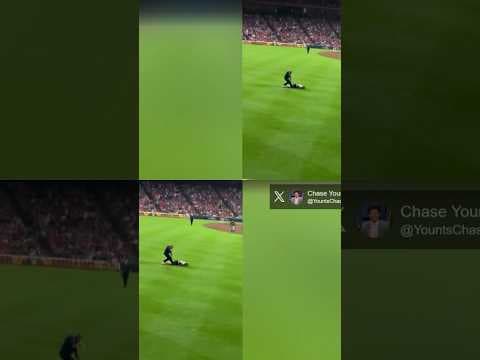Fan Tasered After Doing Backflip at Baseball Game