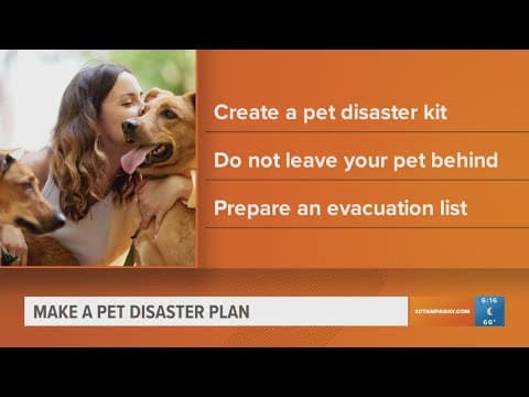 Creating a disaster kit for your pet ahead of hurricane season