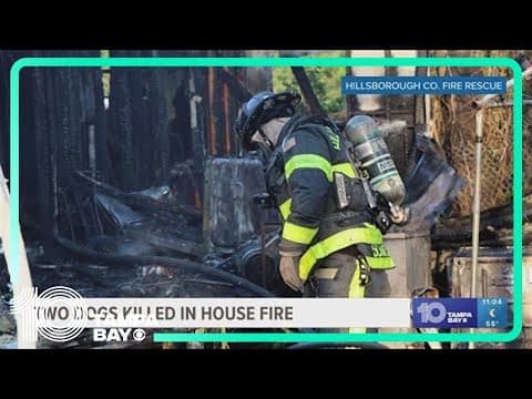 2 dogs dead in Hillsborough County house fire