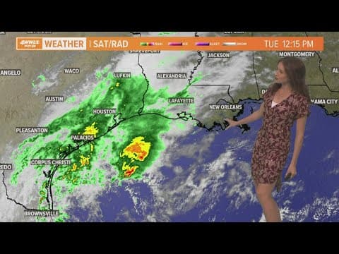 Pleasant weather to start November