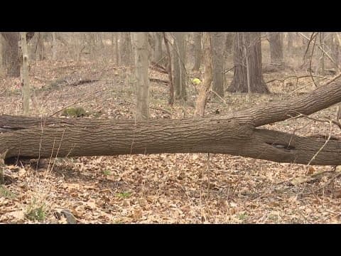 Delphi police issue alert to parents after 24-year-old man found with teenage girls