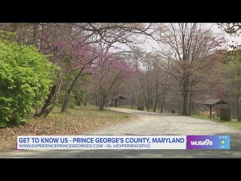 Enjoy the great outdoors at Buddy Attick Lake Park in Prince George's County this Spring!