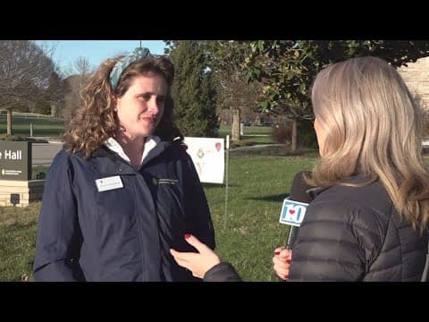 Celebrating the holidays with 'Light Up Lakeshore'