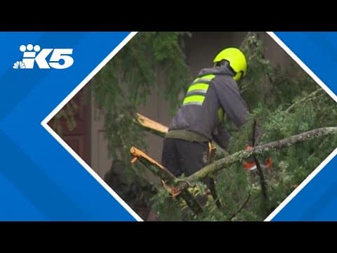 Edmonds neighborhood cleans up after wind storm
