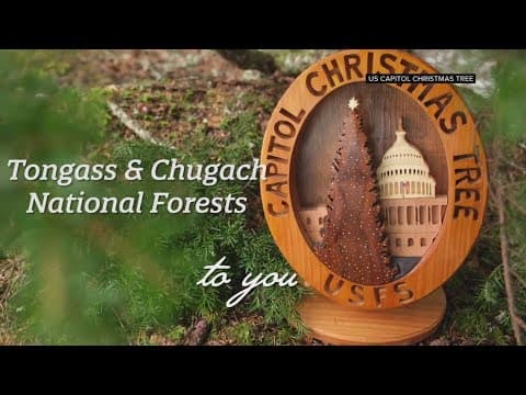 U.S. Capitol Christmas Tree heads to DC