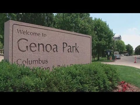 Festival safety at top of mind after fights break out at Taco Fest