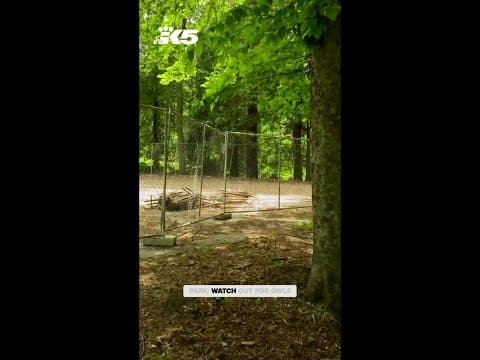 Several hikers report attacks from owls in West Seattle